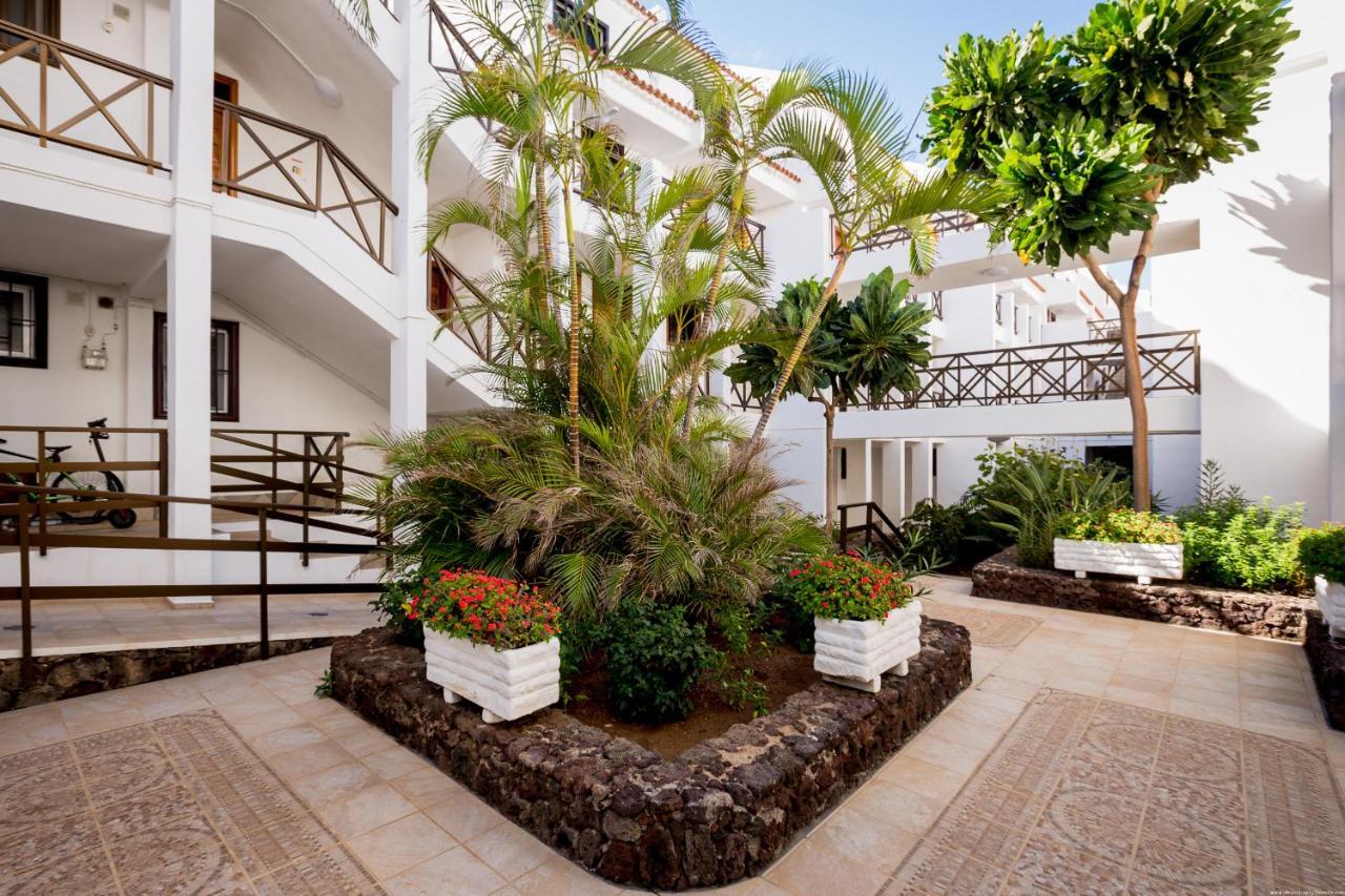 Go2Tenerife Apart'Pesca Rooftop Santiago 1 بلايا ذي لاس أميريكاس المظهر الخارجي الصورة